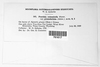 Image Associated With the Occurence